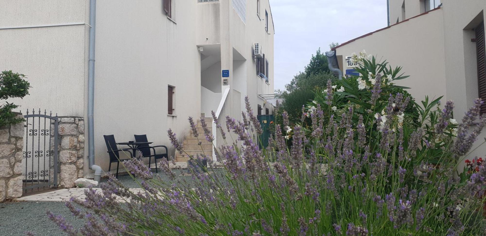 Apartment Kristian Cres Bagian luar foto